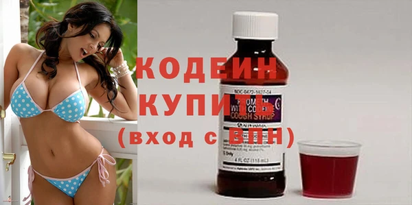 ГАЛЛЮЦИНОГЕННЫЕ ГРИБЫ Инсар