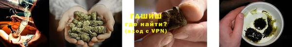 ГАЛЛЮЦИНОГЕННЫЕ ГРИБЫ Инсар