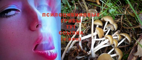соль ск Инта