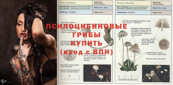 ГАЛЛЮЦИНОГЕННЫЕ ГРИБЫ Инсар
