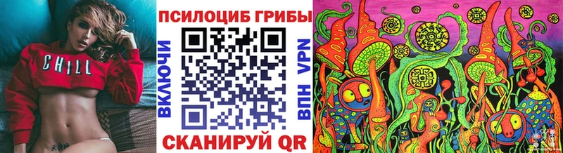 купить закладку Жуковка Галлюциногенные грибы GOLDEN TEACHER